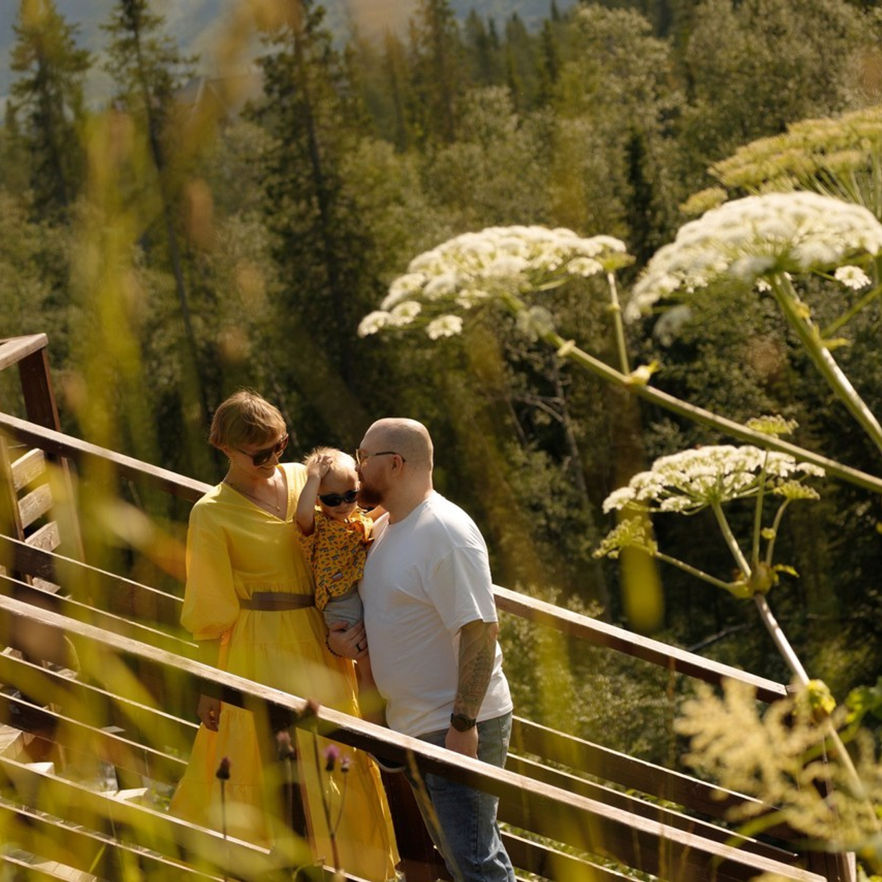 Отзывы. Фотограф Елена Пожарова. Мурманская область, Апатиты, Кировск, Хибины