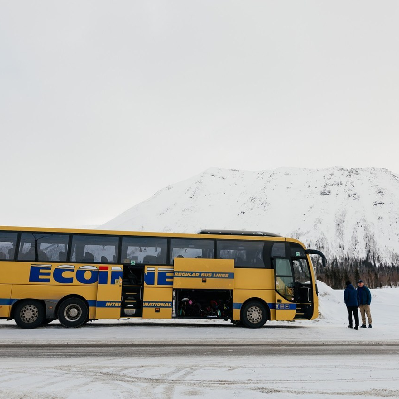 Отзывы. Фотограф Елена Пожарова. Мурманская область, Апатиты, Кировск, Хибины