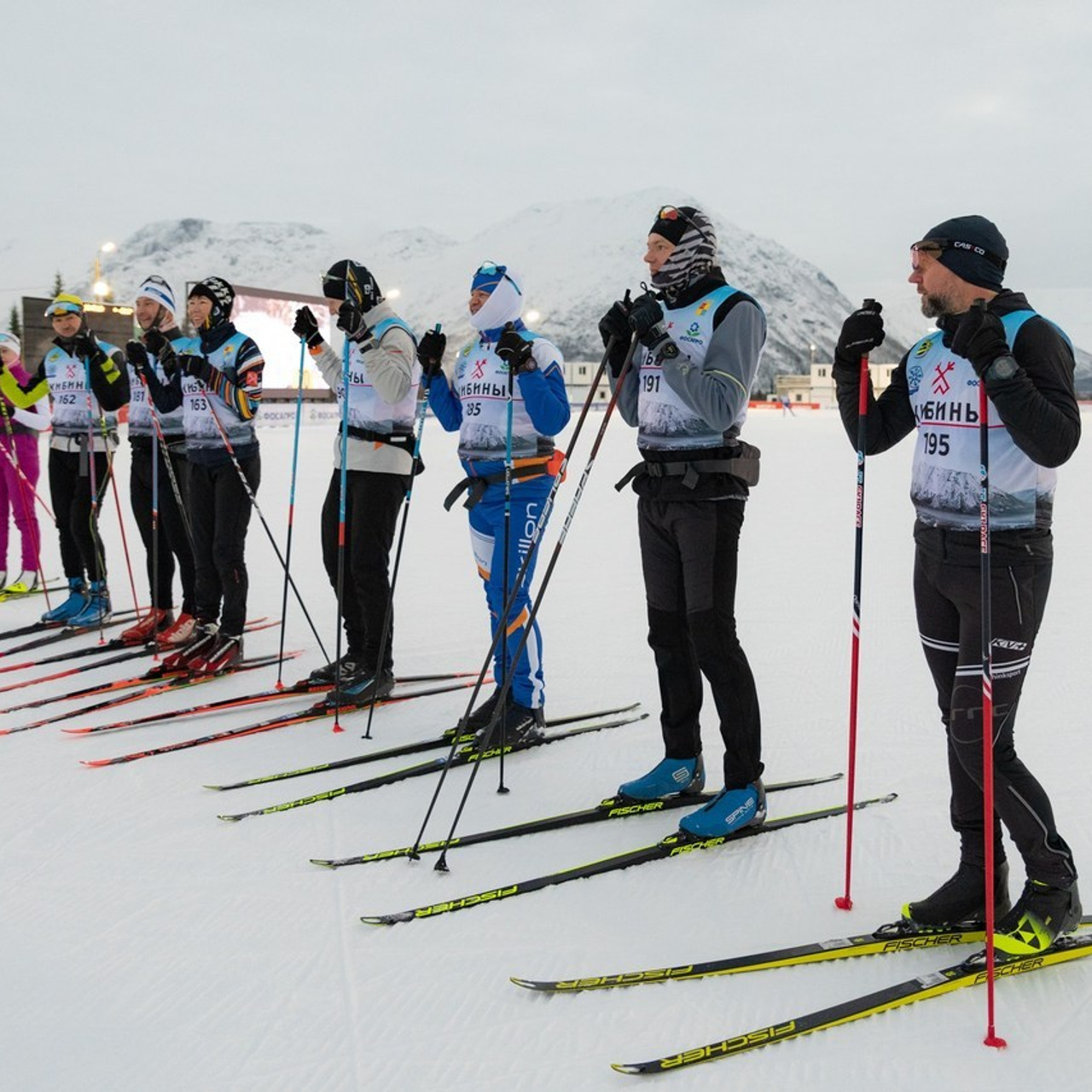 Отзывы. Фотограф Елена Пожарова. Мурманская область, Апатиты, Кировск, Хибины