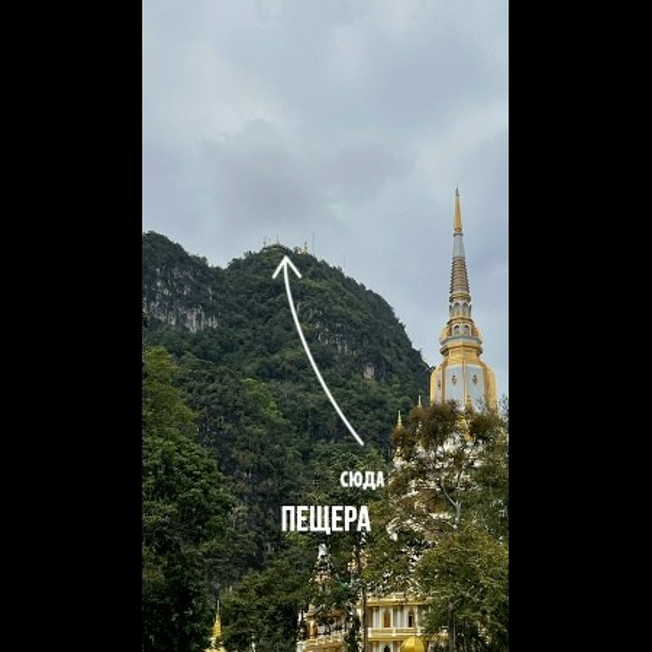 Reels, Shorts. Видеограф в Санкт-Петербурге Белеутов Алексей