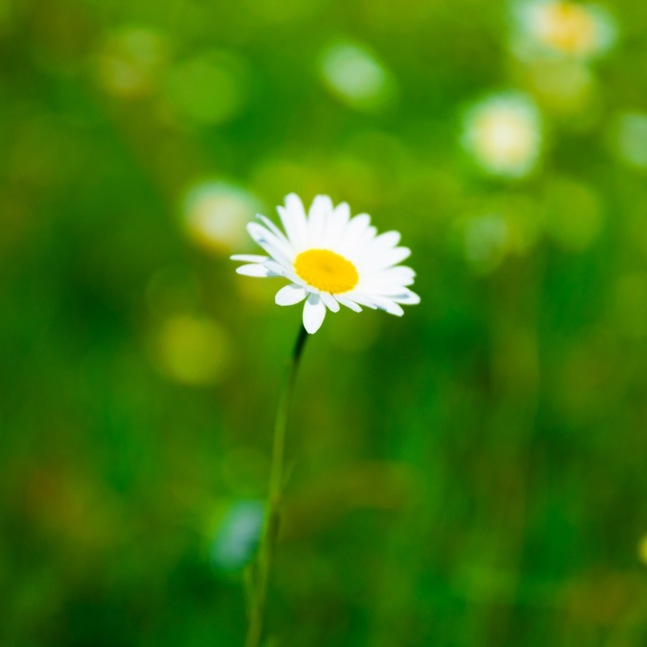 Отзывы. Студийный и свадебный фотограф и видеограф в Севастополе — Юлия Макаренко