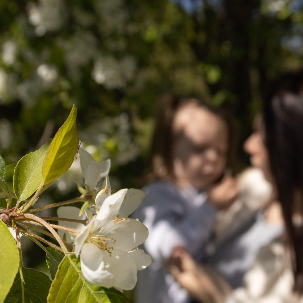 Отзывы. Фотограф Попова Лилия Томск