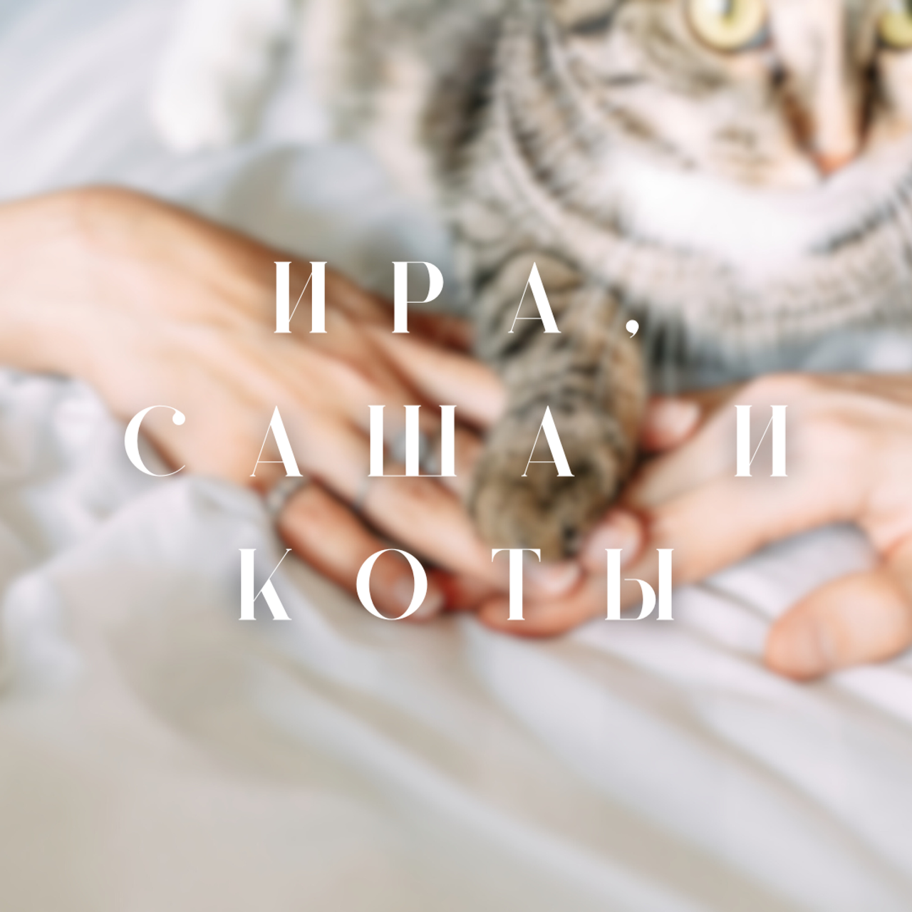 ИРА, САША И 5 КОШЕК