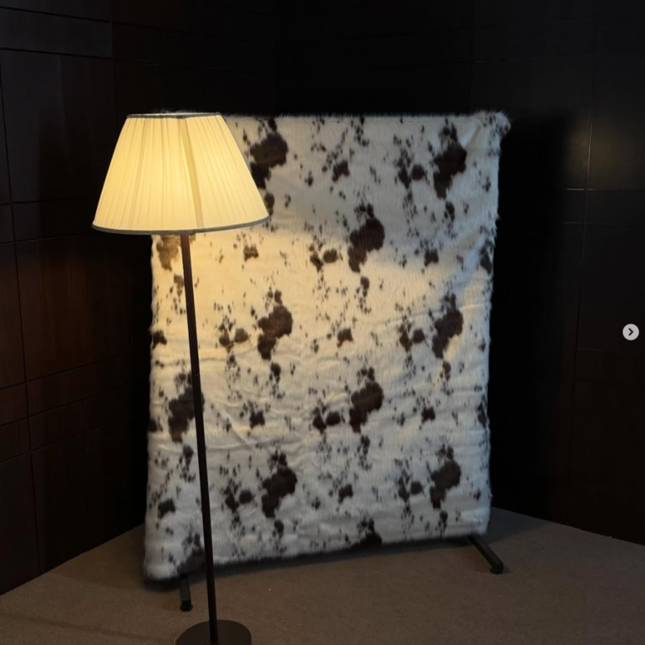 Актуальные фотостудии Самары: аренда, интерьерный и фоновые локации, услуги фотографа