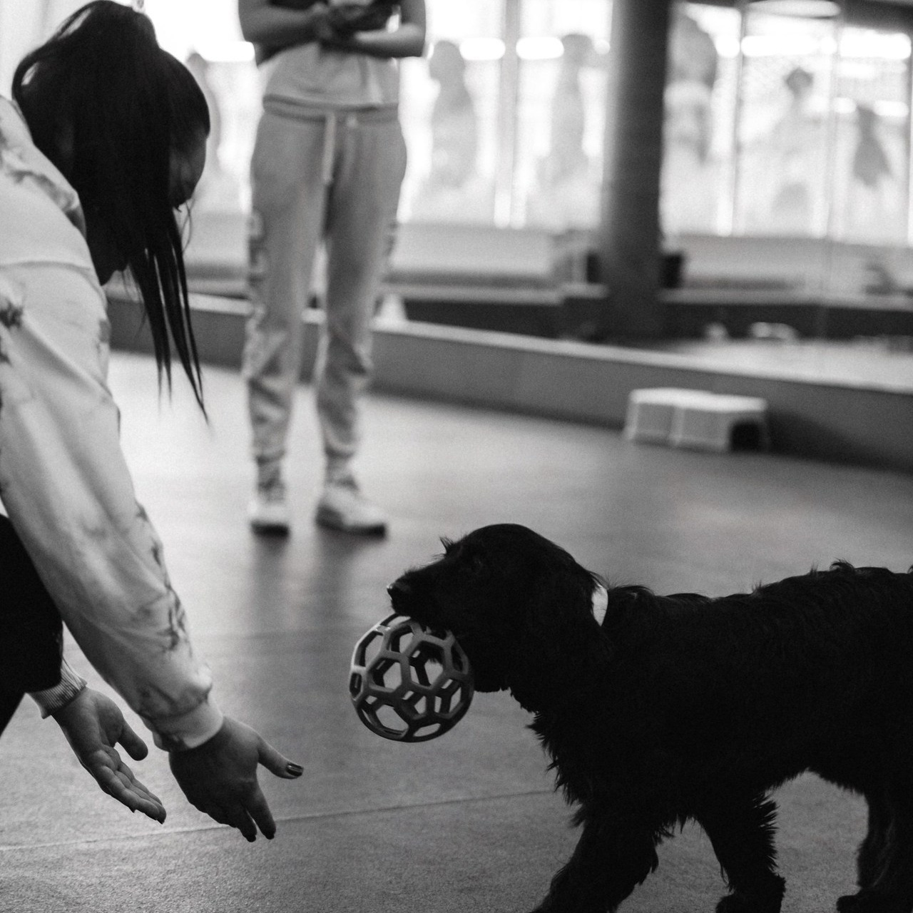 Отзывы. Женский фотограф в Санкт-Петербурге Степлевич Дарья