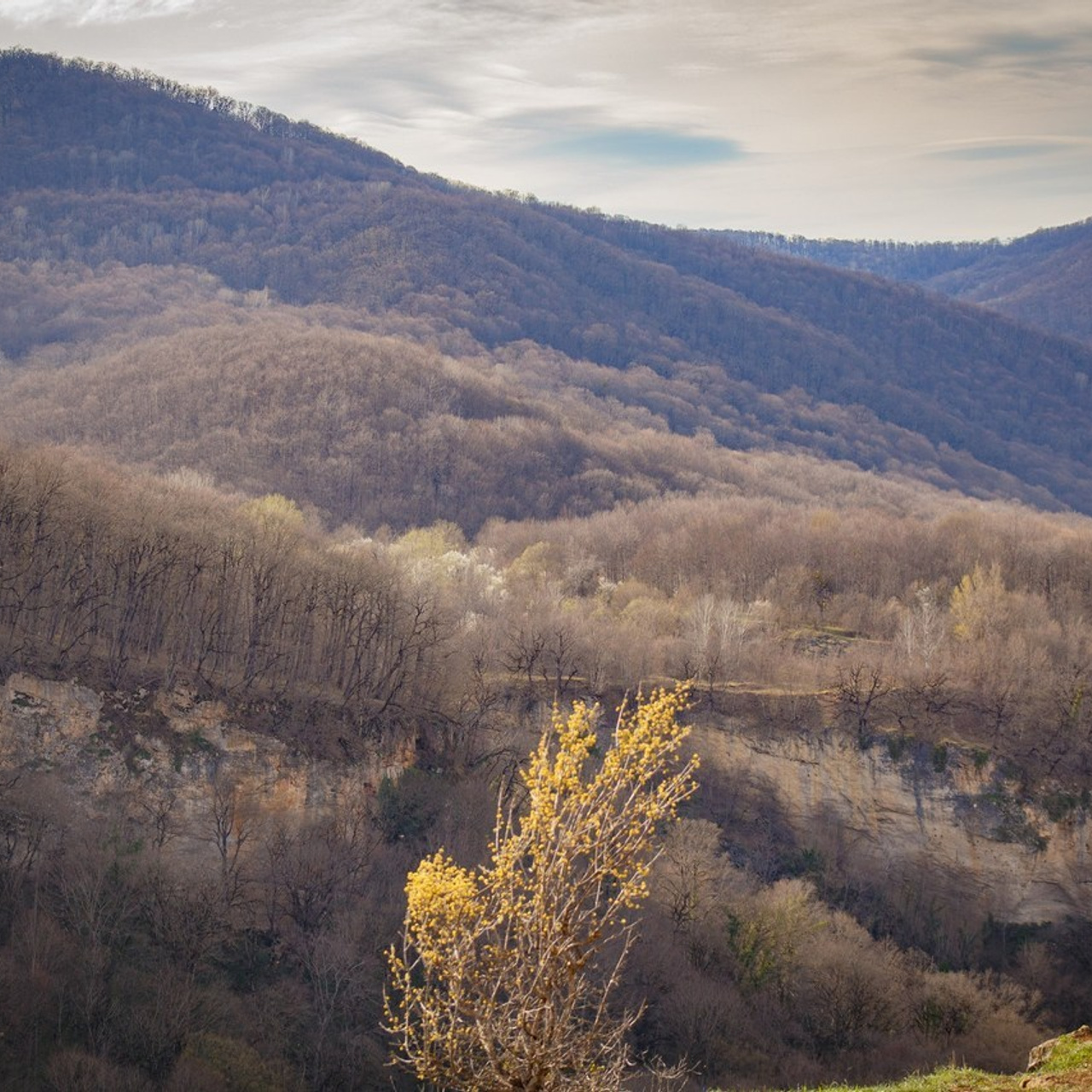 Отзывы. Художественный и репортажный фотограф в Санкт-Петербурге Виктория Никитина