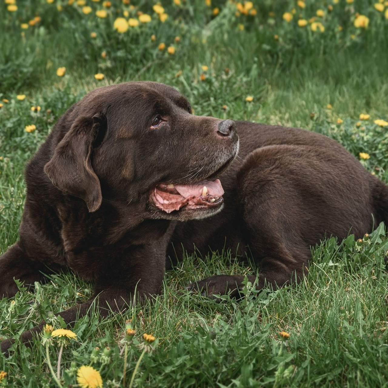 Отзывы фотограф иркутск. Сайт фотографа Елены Коноваловой Иркутск
