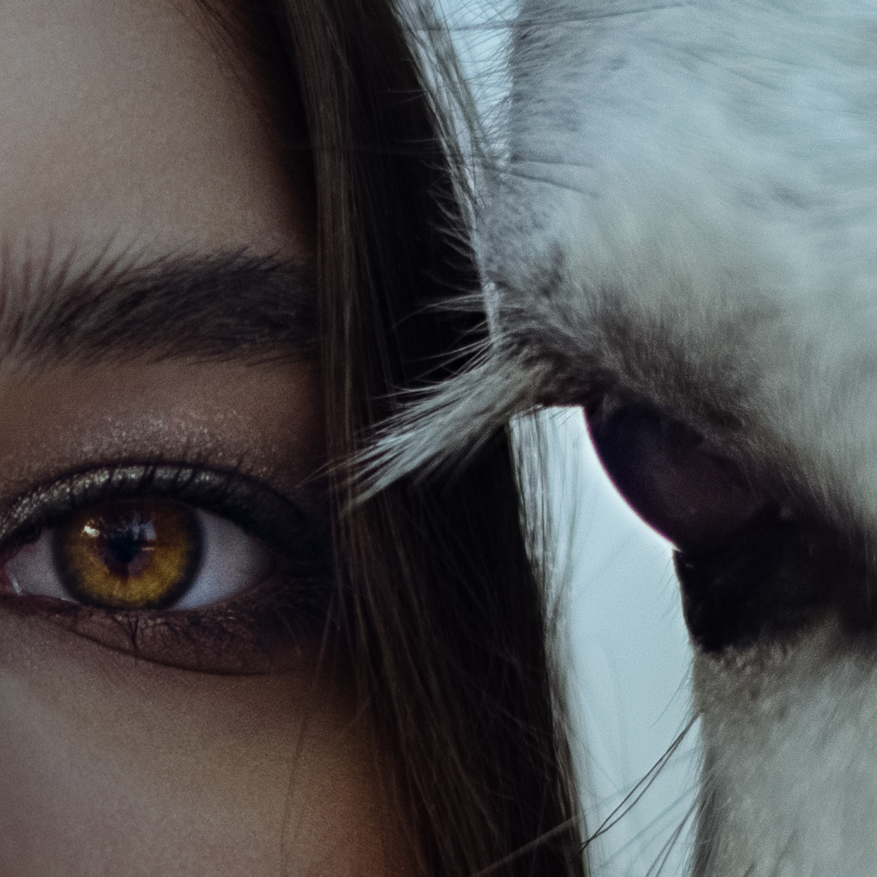 Отзывы фотограф иркутск. Сайт фотографа Елены Коноваловой Иркутск