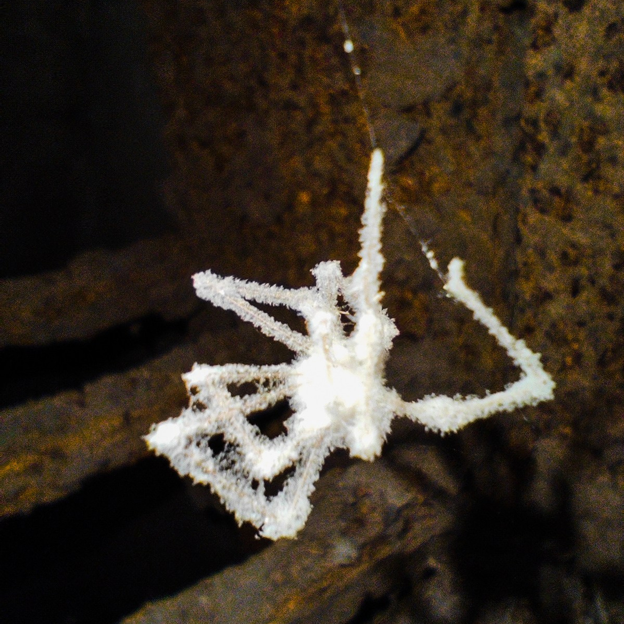 КАК УВИДЕТЬ ФОТОГРАФИЮ ТАМ, ГДЕ ЕЁ «НЕ МОЖЕТ БЫТЬ». Фотография в неожиданных местах: от повседневных объектов до абстракций. Детский и семейный фотограф в Павлодаре Оксана Солей. Школа моделей