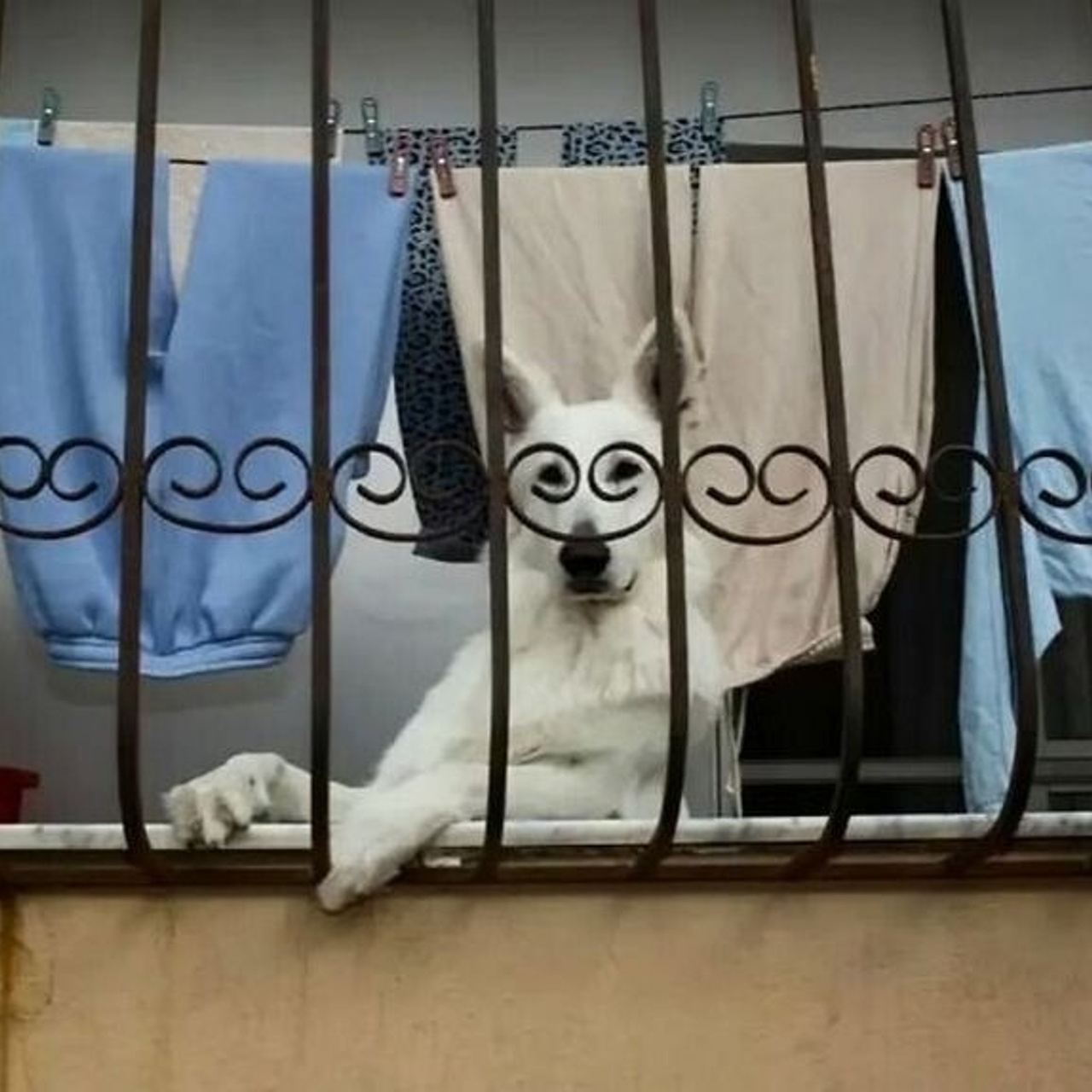 КАК УВИДЕТЬ ФОТОГРАФИЮ ТАМ, ГДЕ ЕЁ «НЕ МОЖЕТ БЫТЬ». Фотография в неожиданных местах: от повседневных объектов до абстракций. Детский и семейный фотограф в Павлодаре Оксана Солей. Школа моделей