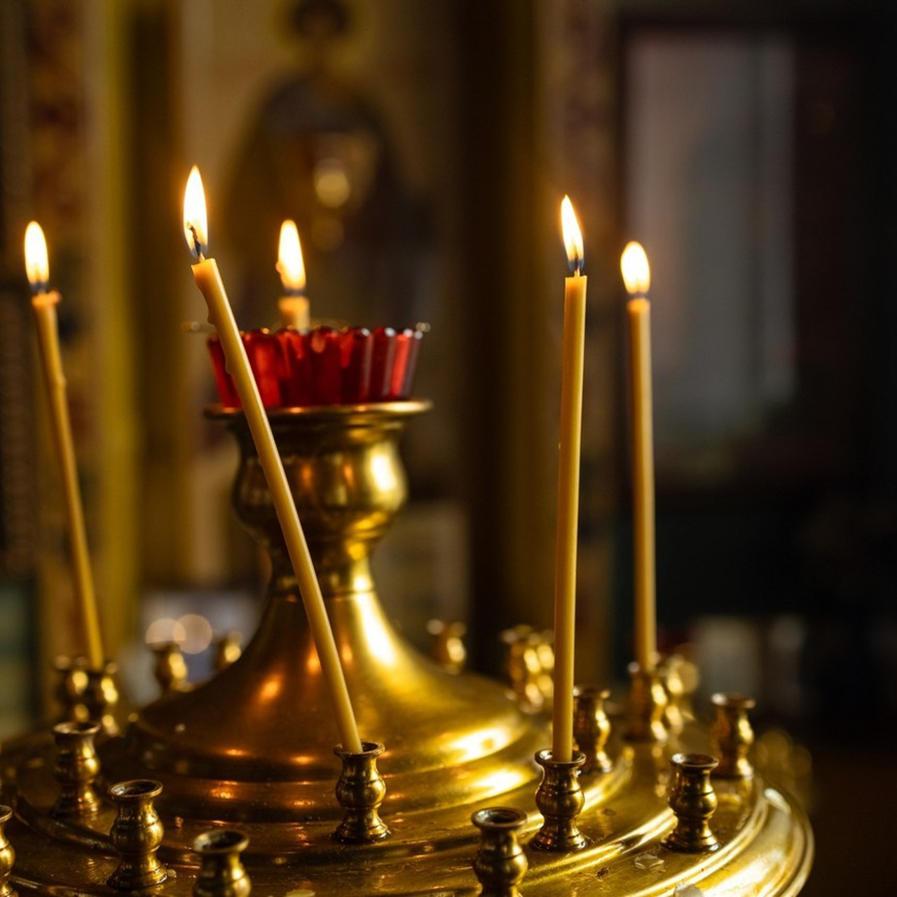 Отзывы. Семейный и женский фотограф в Туле