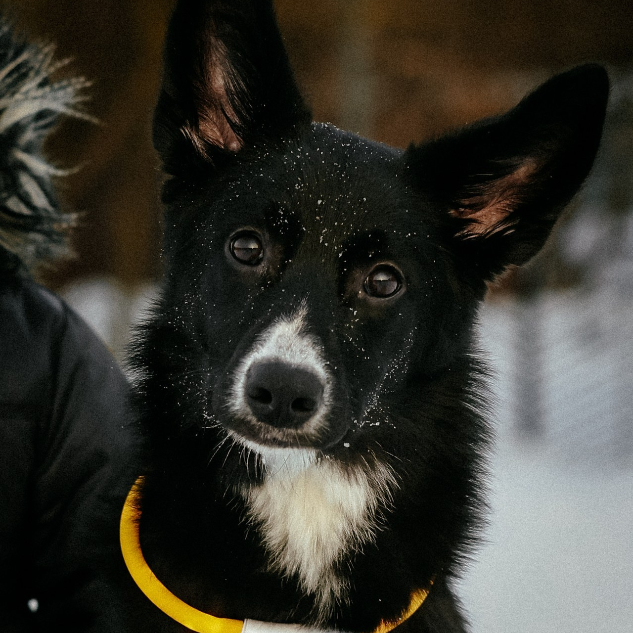 Отзывы. Фотографирую светом и сердцем в Москве с 2014 года