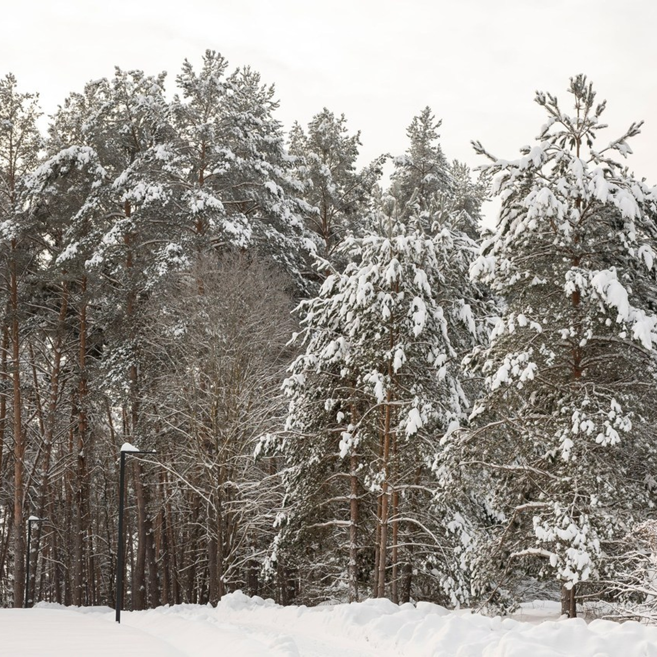 Отзывы. Фотограф Алексин|Тула