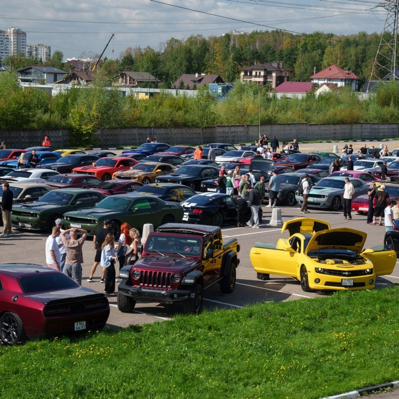 Отзывы. Евгения Патрина