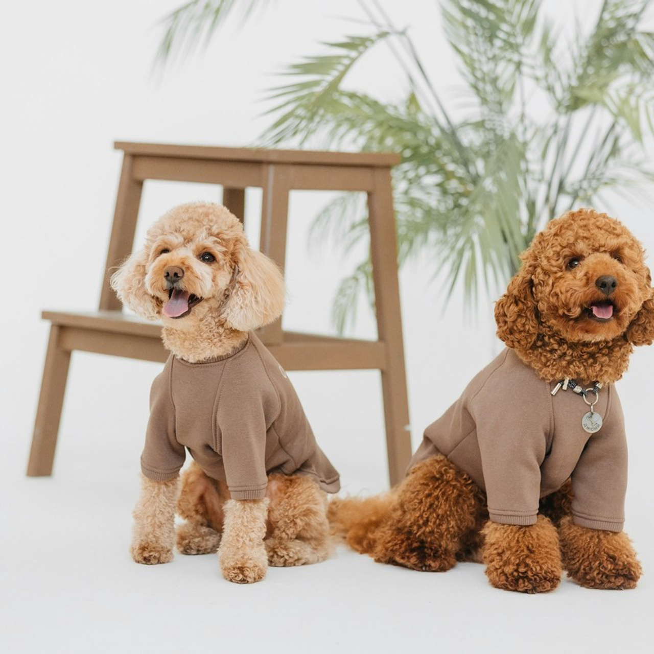 Отзывы. Фотограф анималист Кристина Карпова, Москва