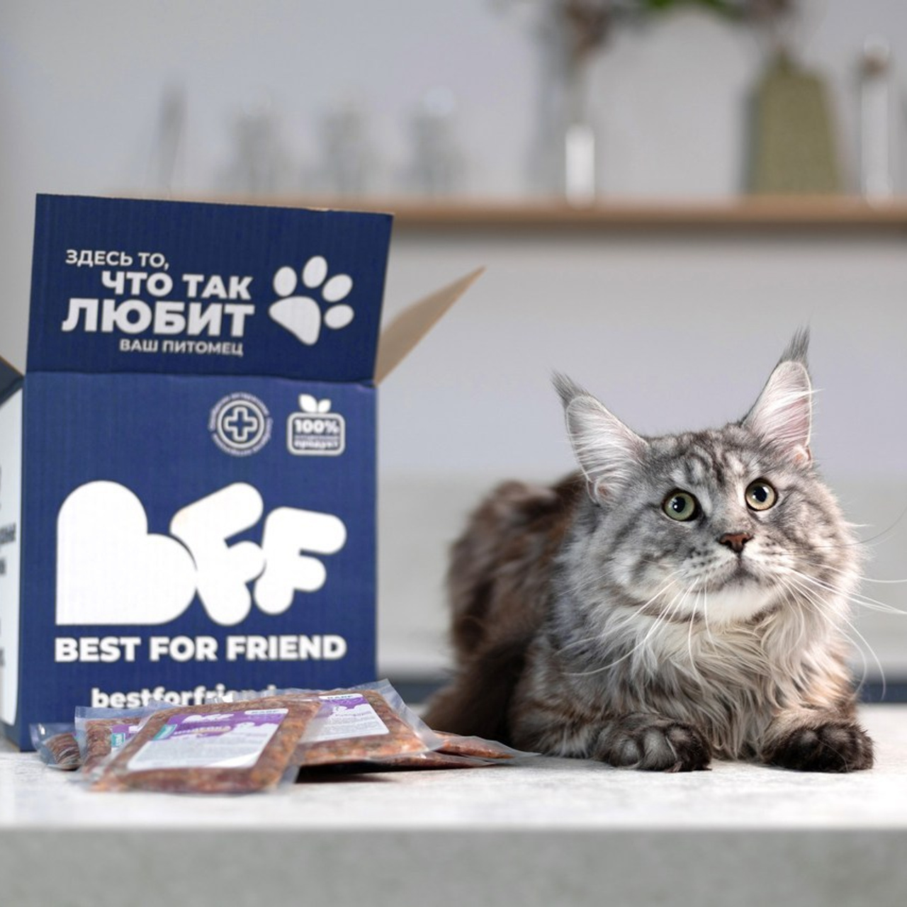 Отзывы. Фотограф анималист Кристина Карпова, Москва