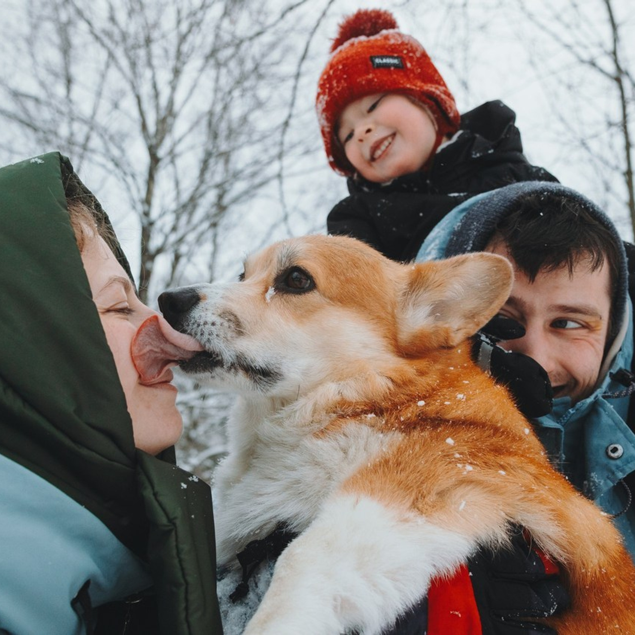 Отзывы. Фотограф анималист Кристина Карпова, Москва