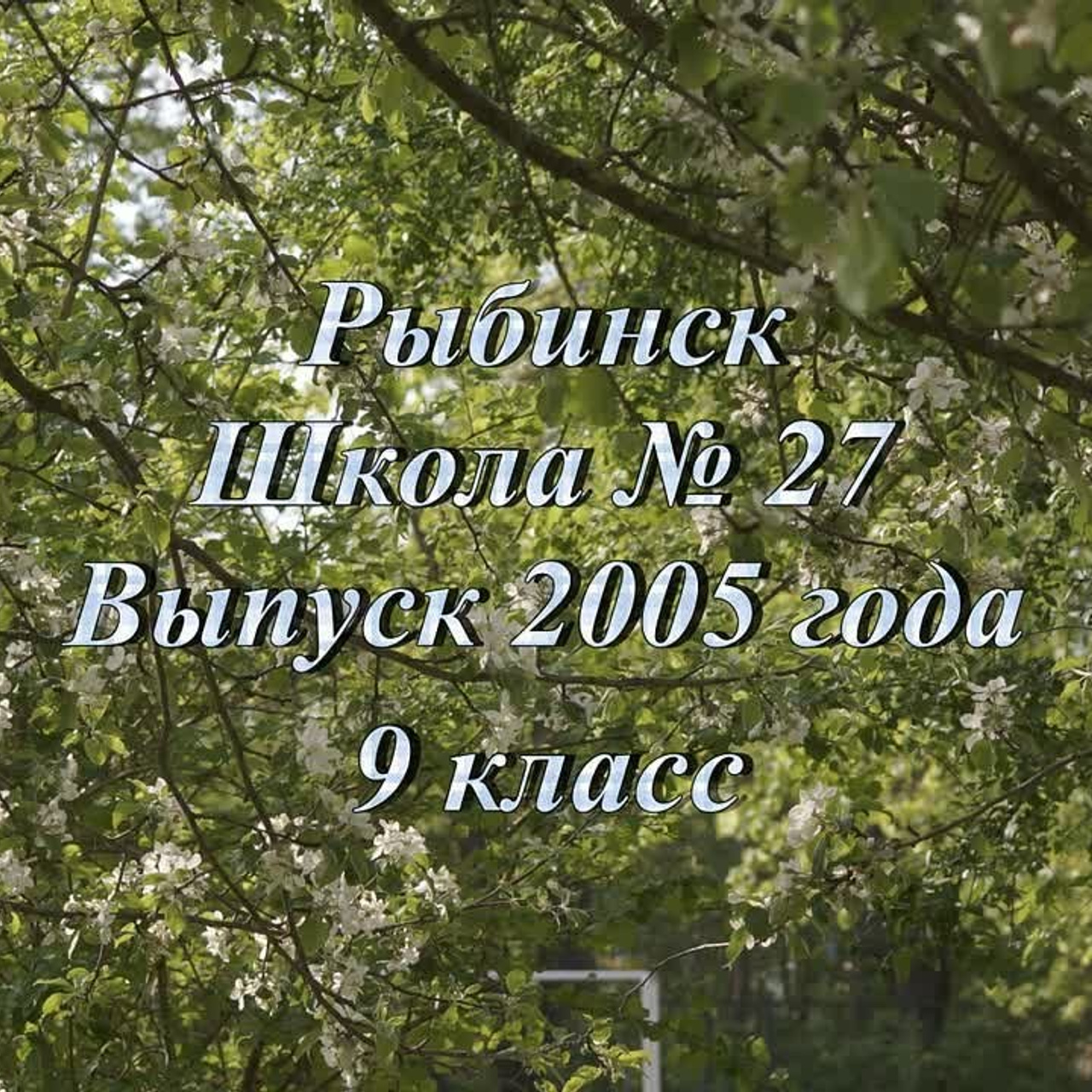 Школа 27 Выпускной 2025 год коллаж
