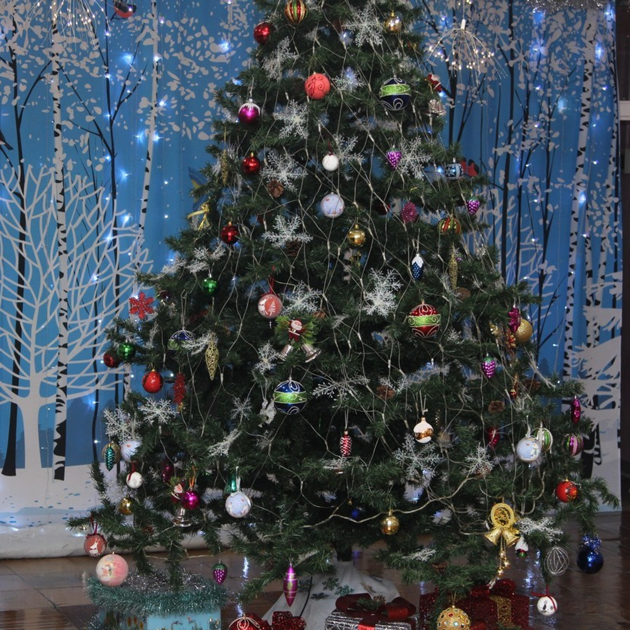 Отзывы. Фотограф — Анастасия