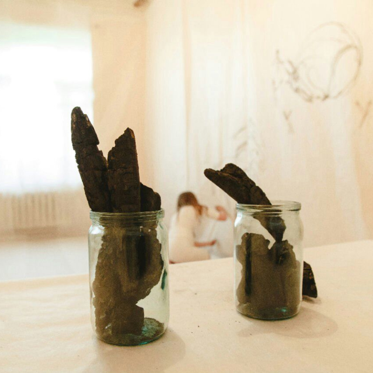 COAL. Inna Dodiomova artist