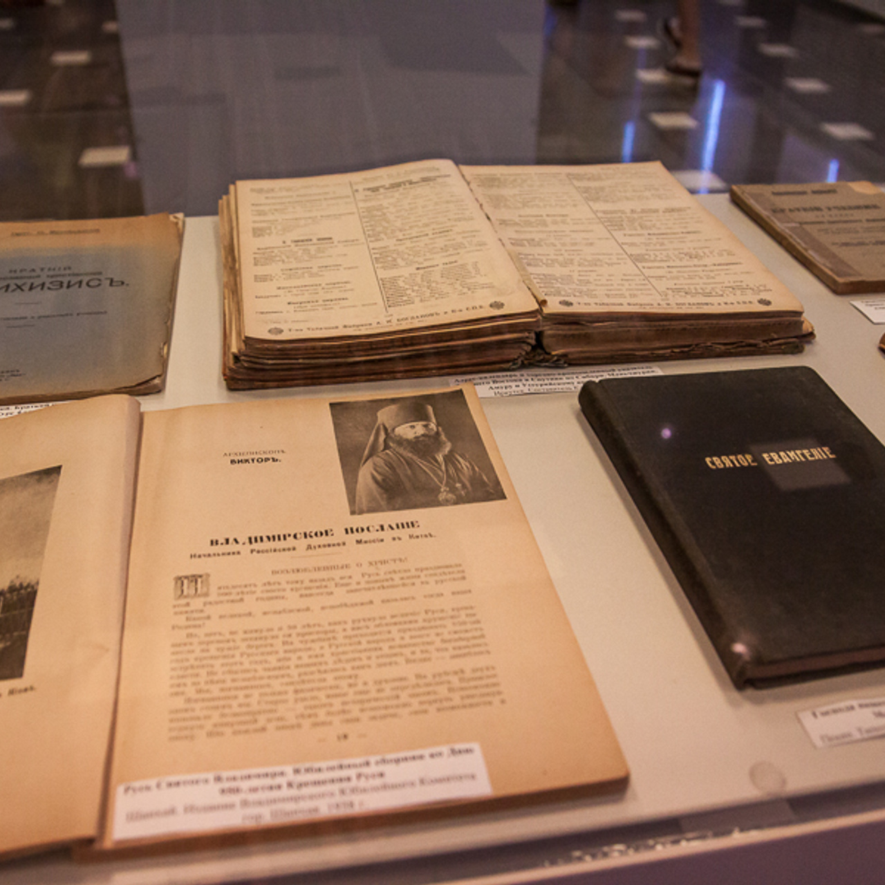 ХАРБИН МЕЖДУ ПРОШЛЫМ И БУДУЩИМ. Художник Инна Додиомова