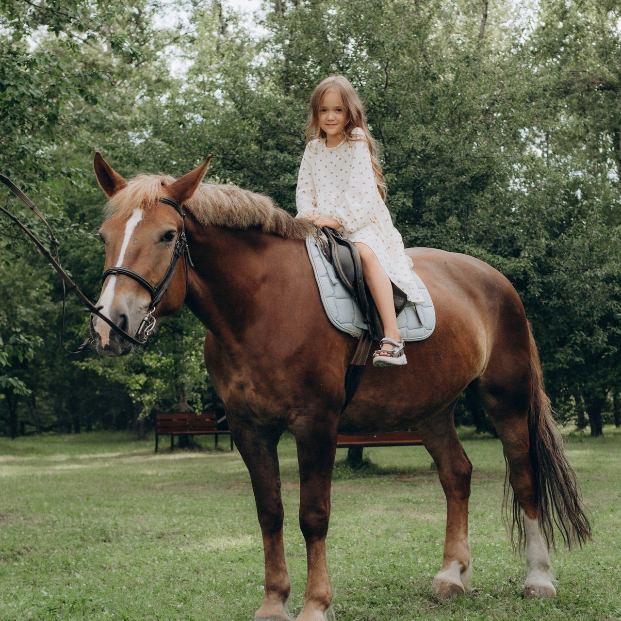 Отзывы. First-foto.ru