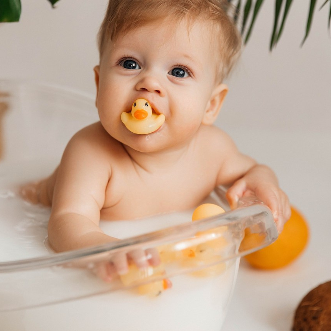 Отзывы. First-foto.ru