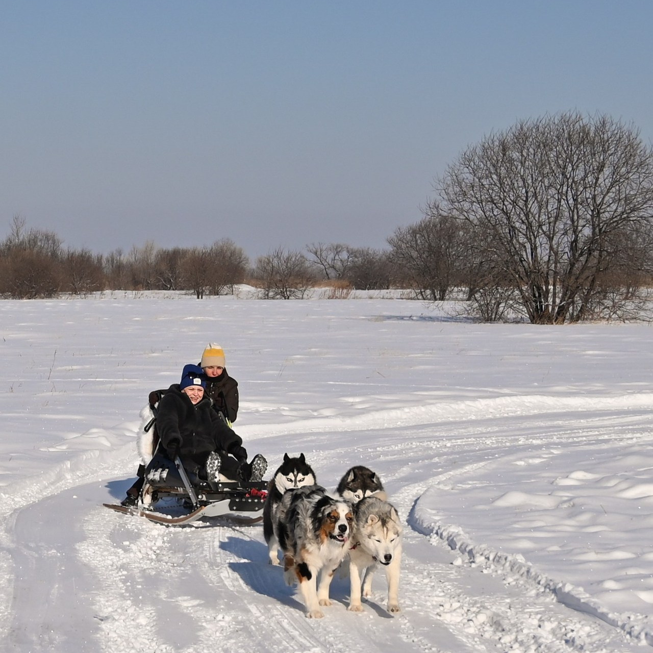 ОТЗЫВЫ. Свадебный и семейный фотограф в Хабаровске Оксана Новикова
