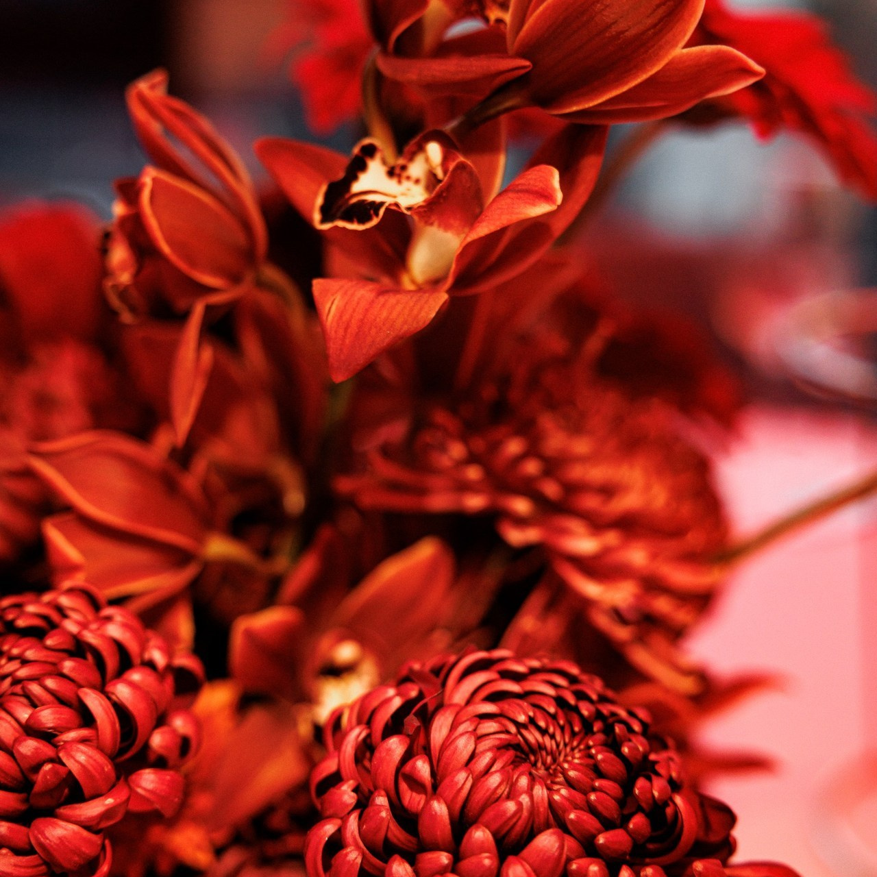 Отзывы. Фотограф Арина Тамочкина