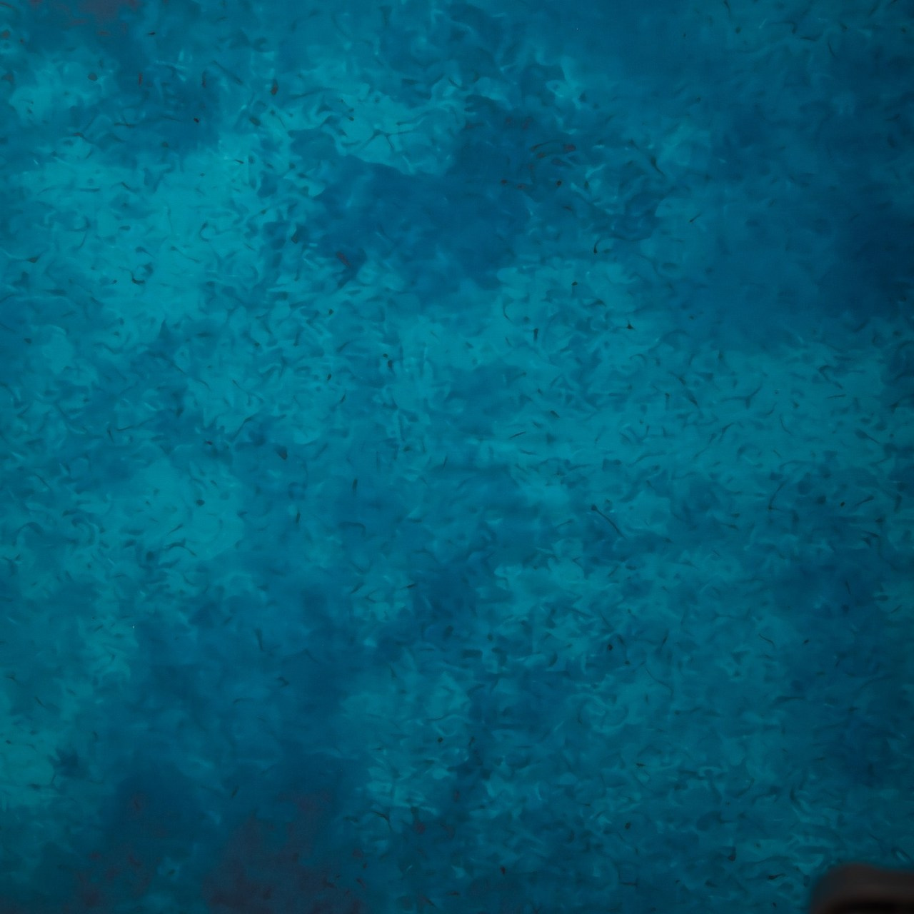 Отзывы. Ваш фотограф Марго, г. Новосибирск