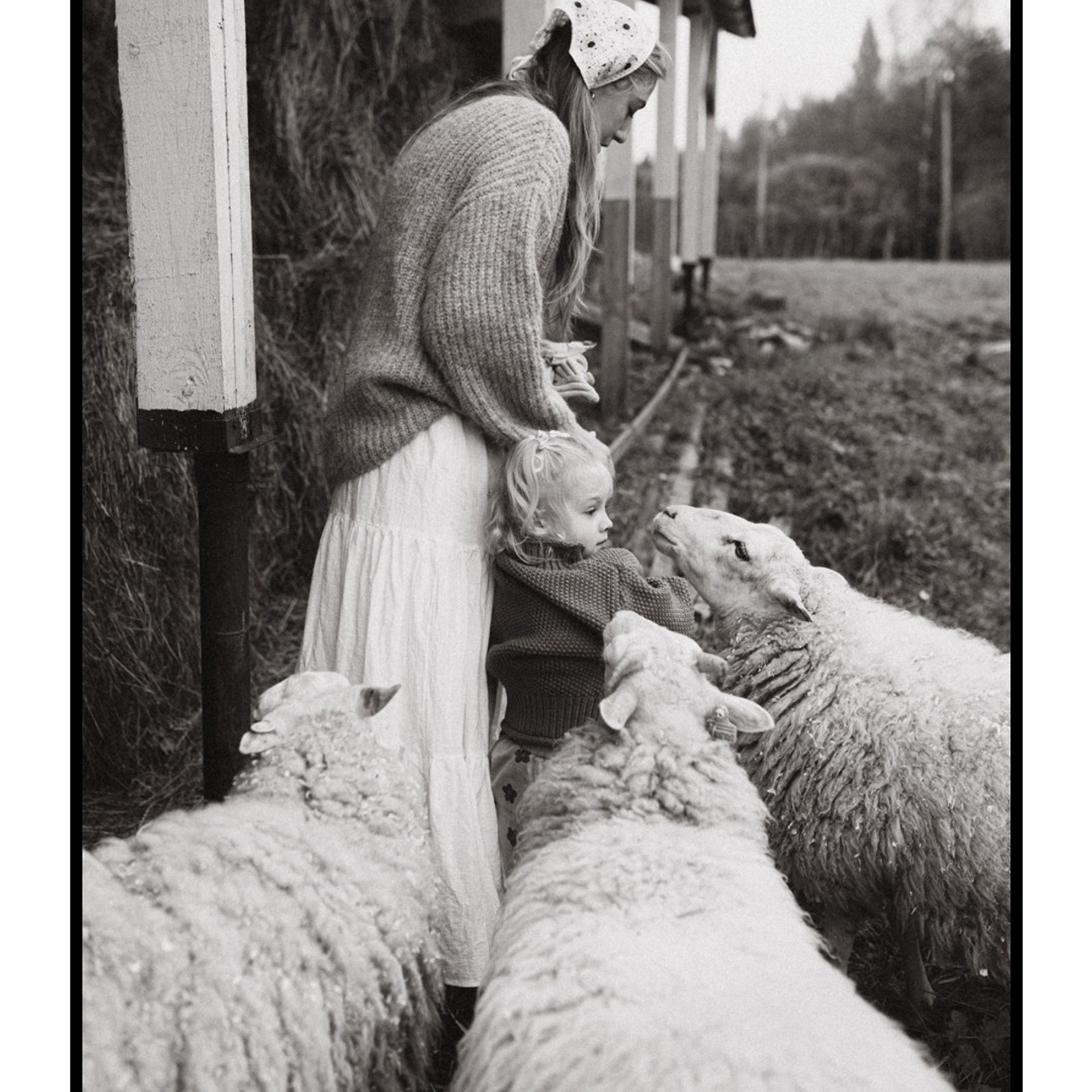 Отзывы. Услуги