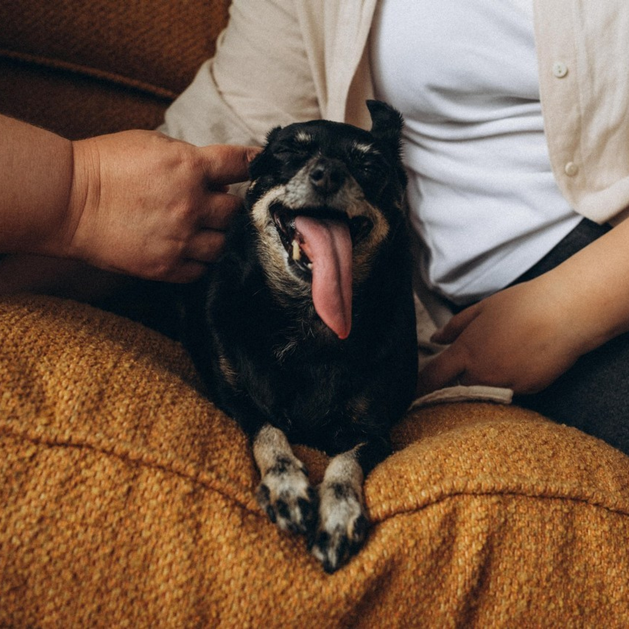 Отзывы. Семейный фотограф и анималист в Москве Анна Иванова