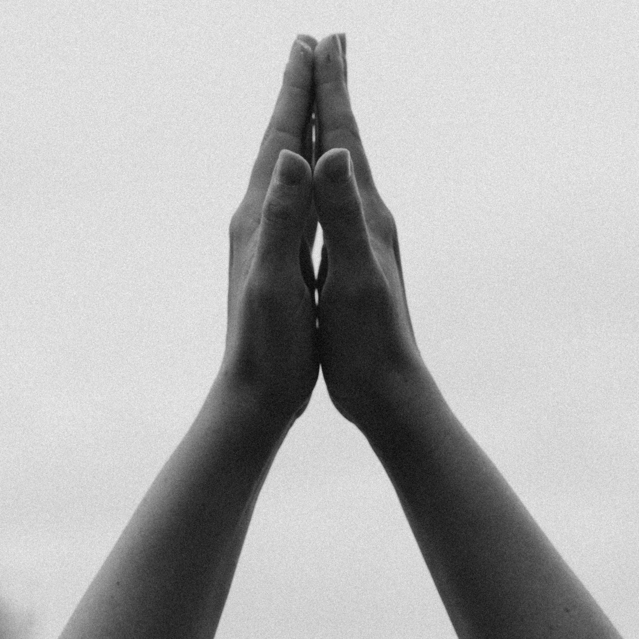 Отзывы. Семейный фотограф и анималист в Москве Анна Иванова