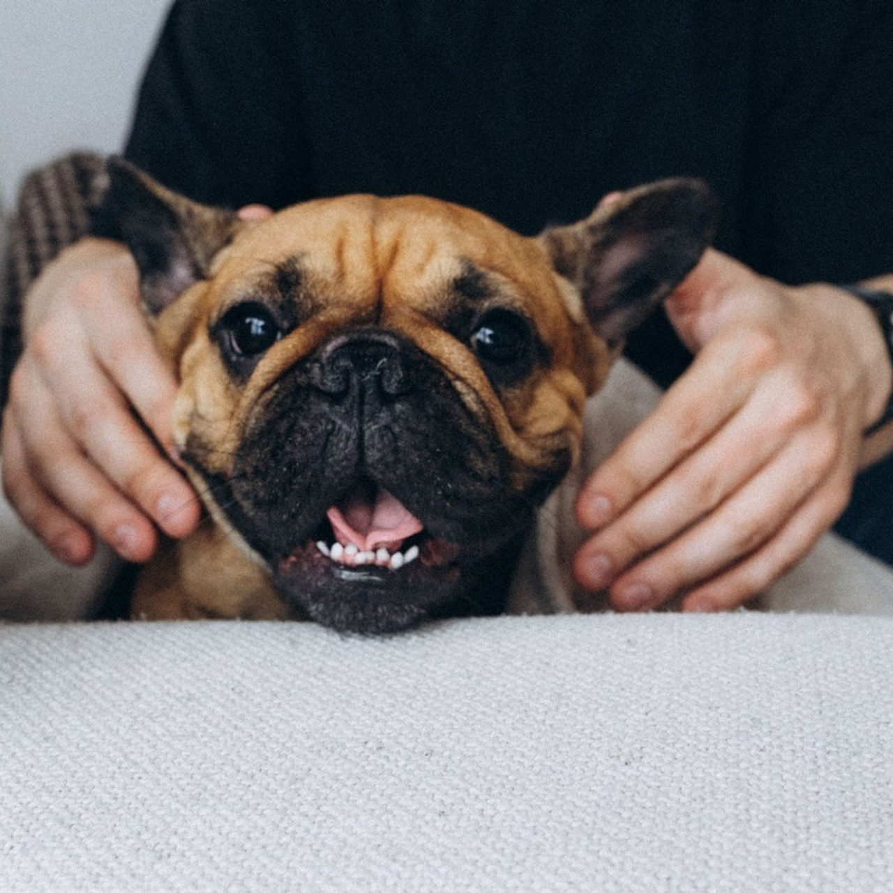 Отзывы. Семейный фотограф и анималист в Москве Анна Иванова