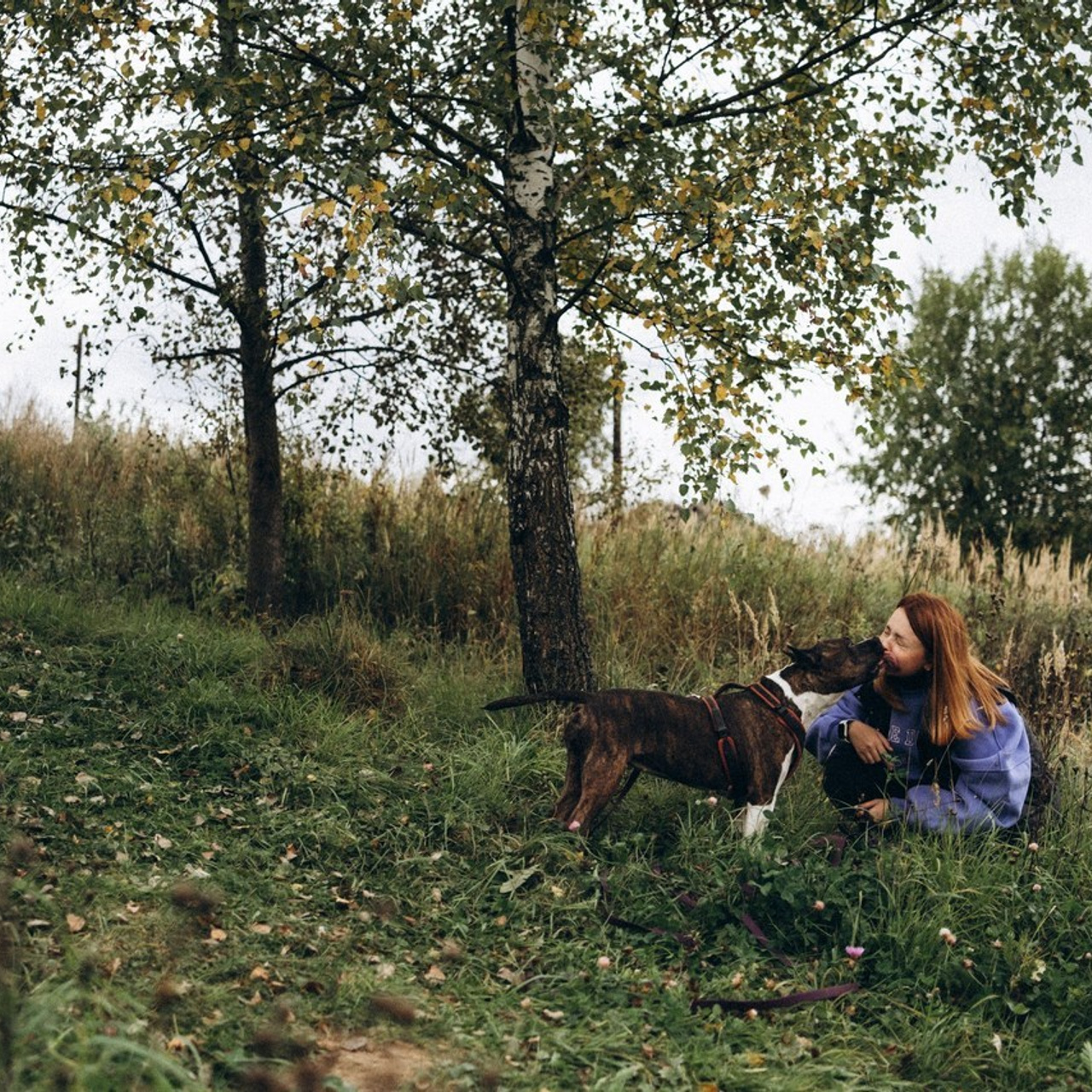 Отзывы. Семейный фотограф и анималист в Москве Анна Иванова