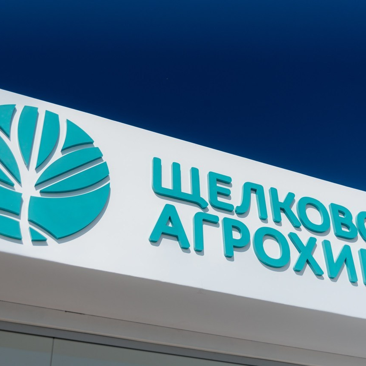 Отзывы о работе фотографа в Волгограде и Волжском. Фотограф в Волгограде и Волжском Александр Горбань