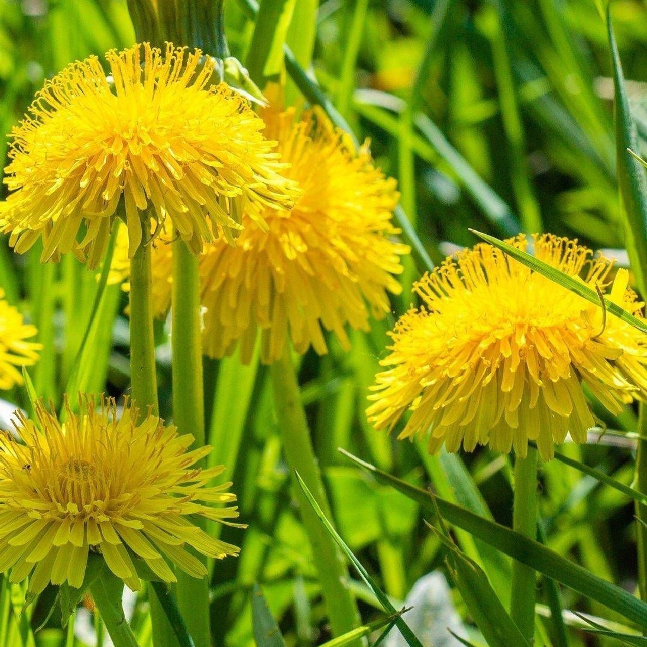 Отзывы о работе фотографа в Волгограде и Волжском. Фотограф в Волгограде и Волжском Александр Горбань