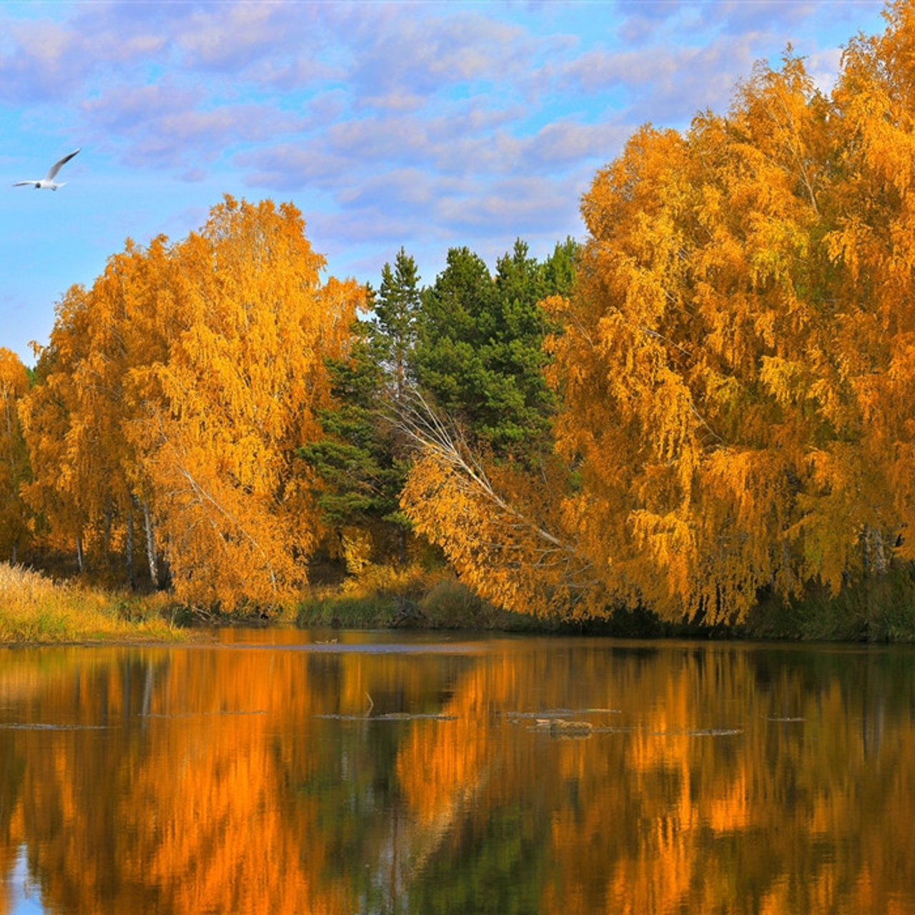 WEB дизайн, Digital портреты, иллюстрации, ретушь фото. Digital Artist, Illustrator, Web Designer