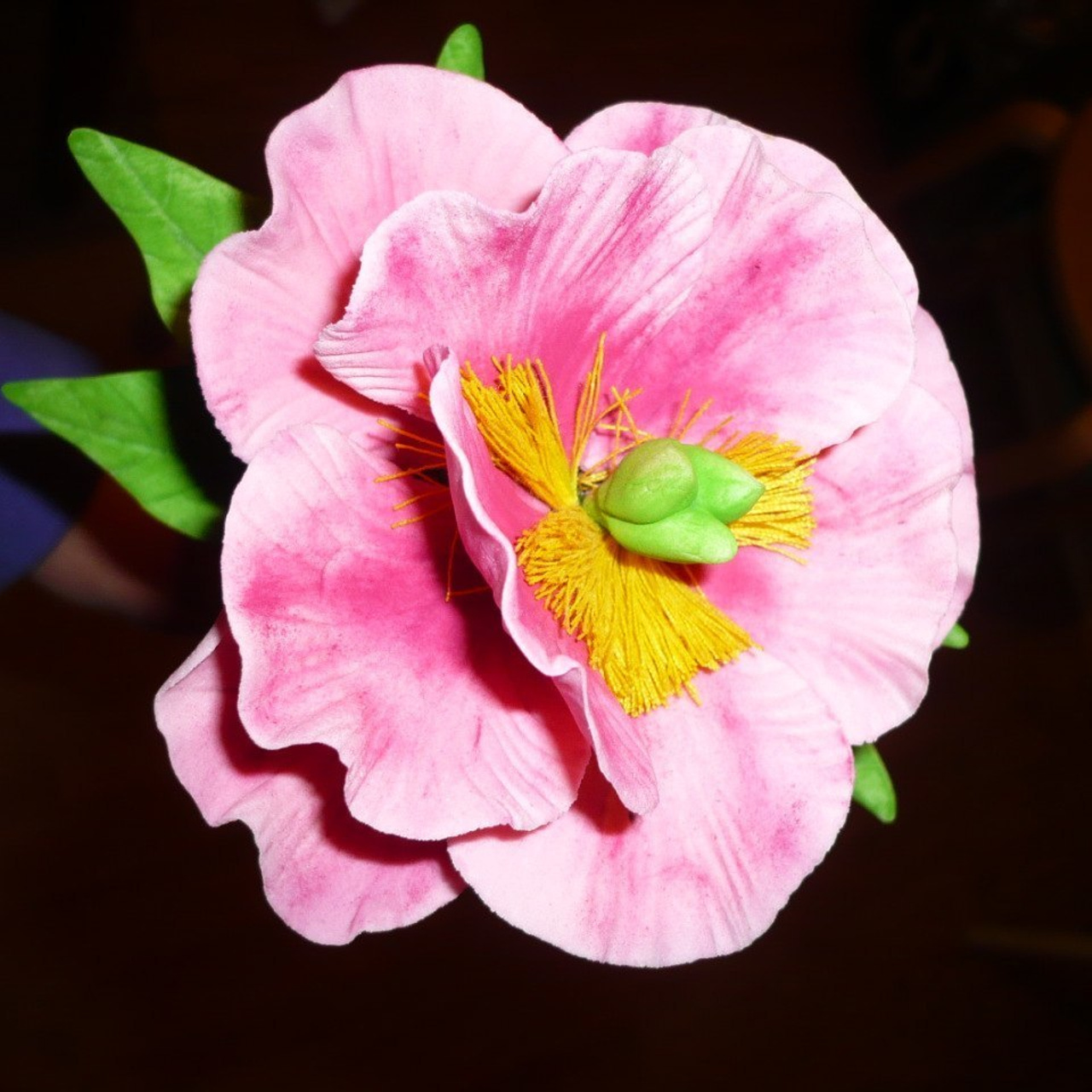 WEB дизайн, Digital портреты, иллюстрации, ретушь фото. Digital Artist, Illustrator, Web Designer