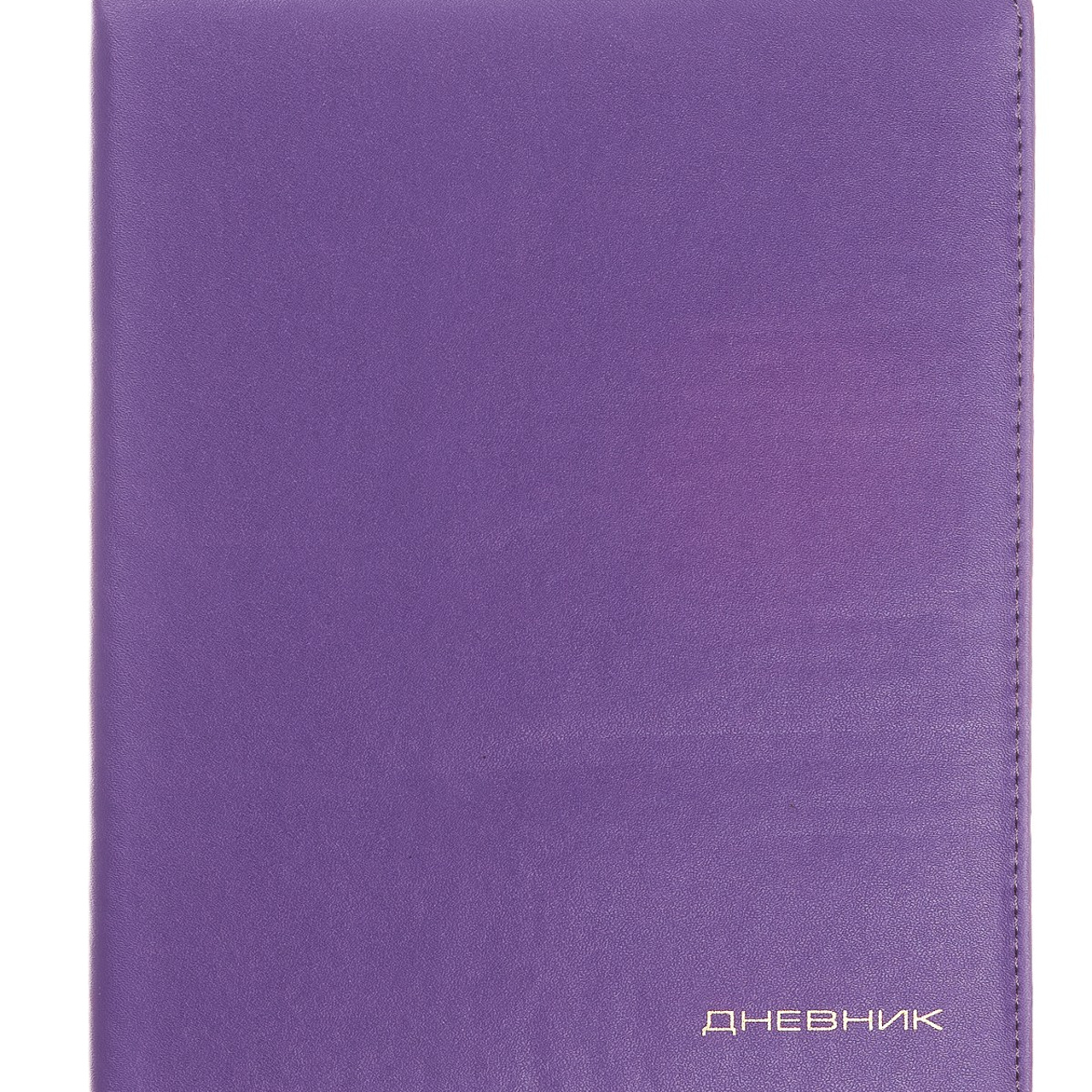 Дневники 2