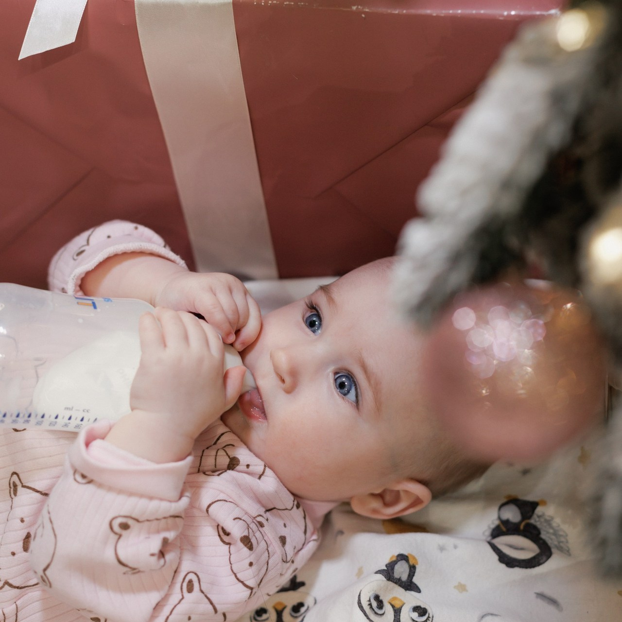 Отзывы. Портретный фотограф Санкт-Петербург Москва Андронова Юлия