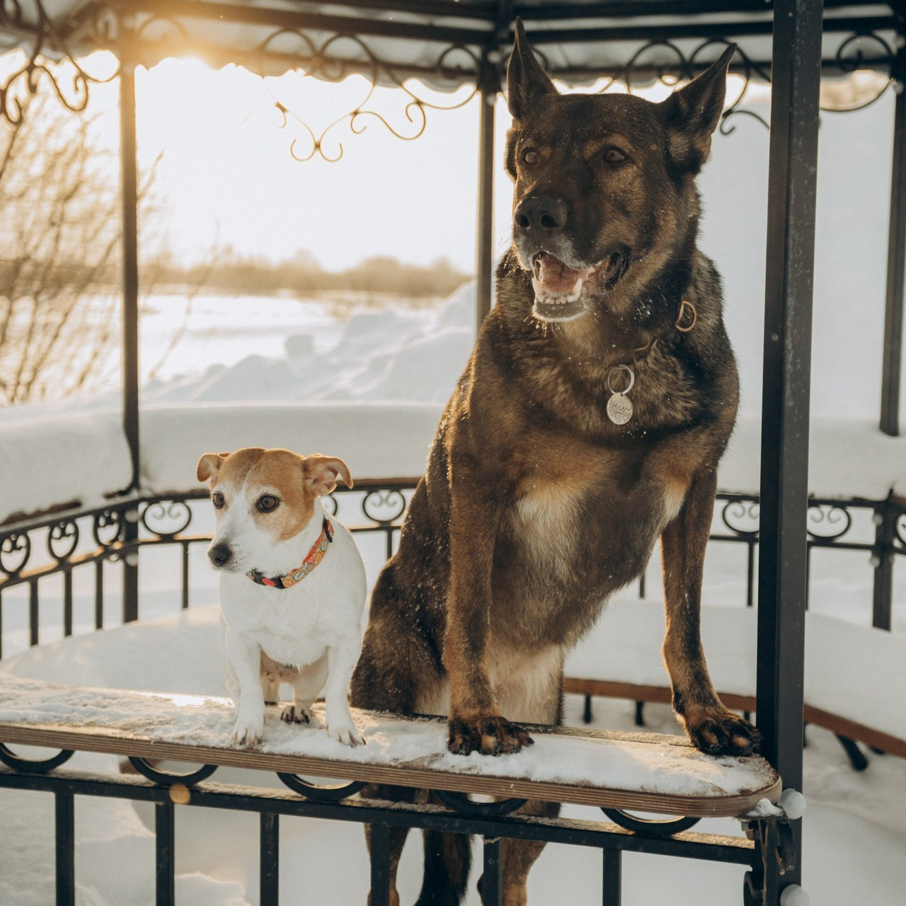 Отзывы. Фотограф города Березники