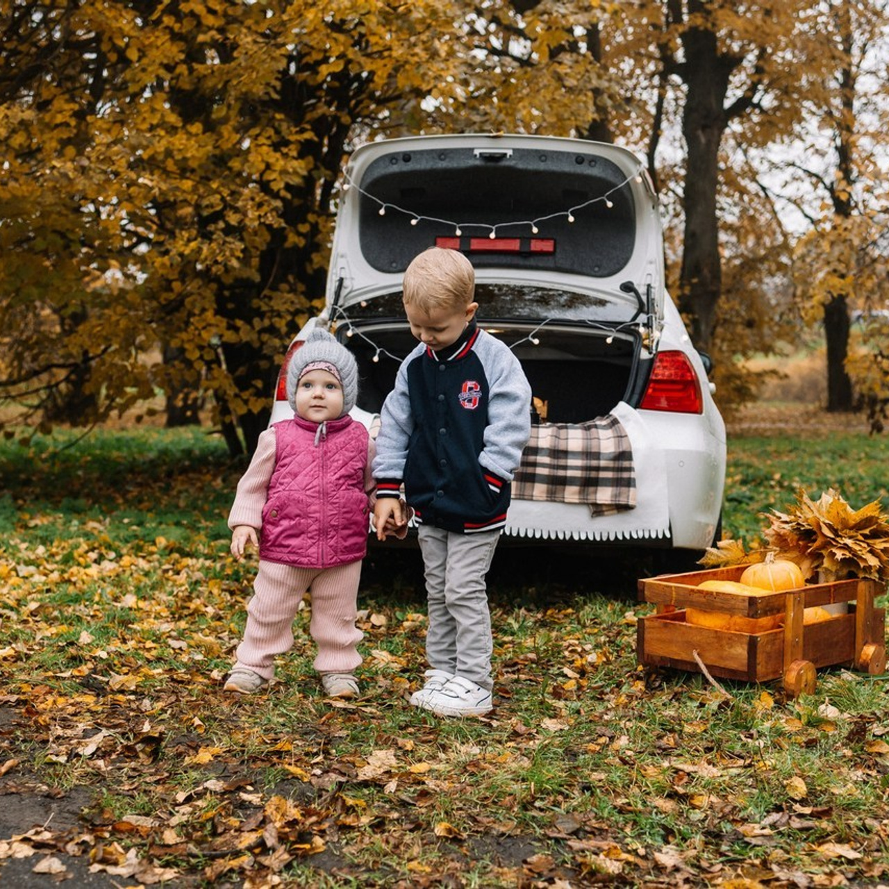 Отзывы. Женский и семейный фотограф Вологда Бучухишвили Диана, обучение