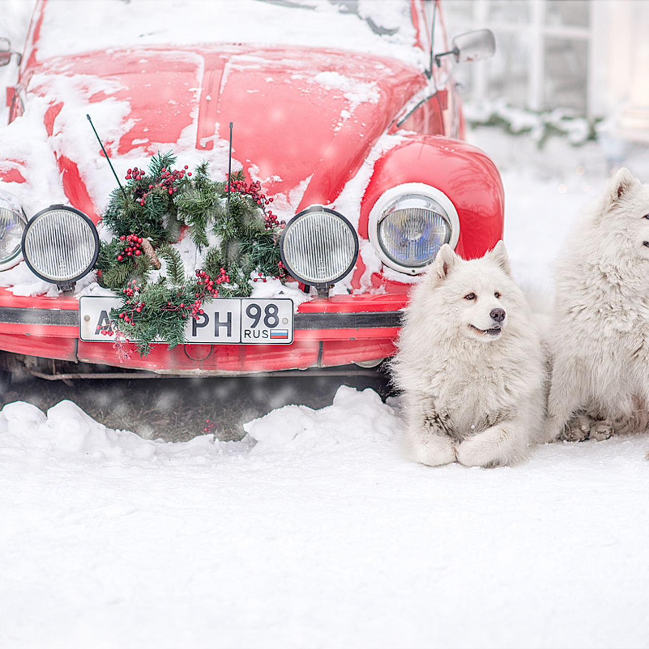 Анечка Павага (Зима). Фотограф в Санкт-Петербурге Наталья Прядильщикова