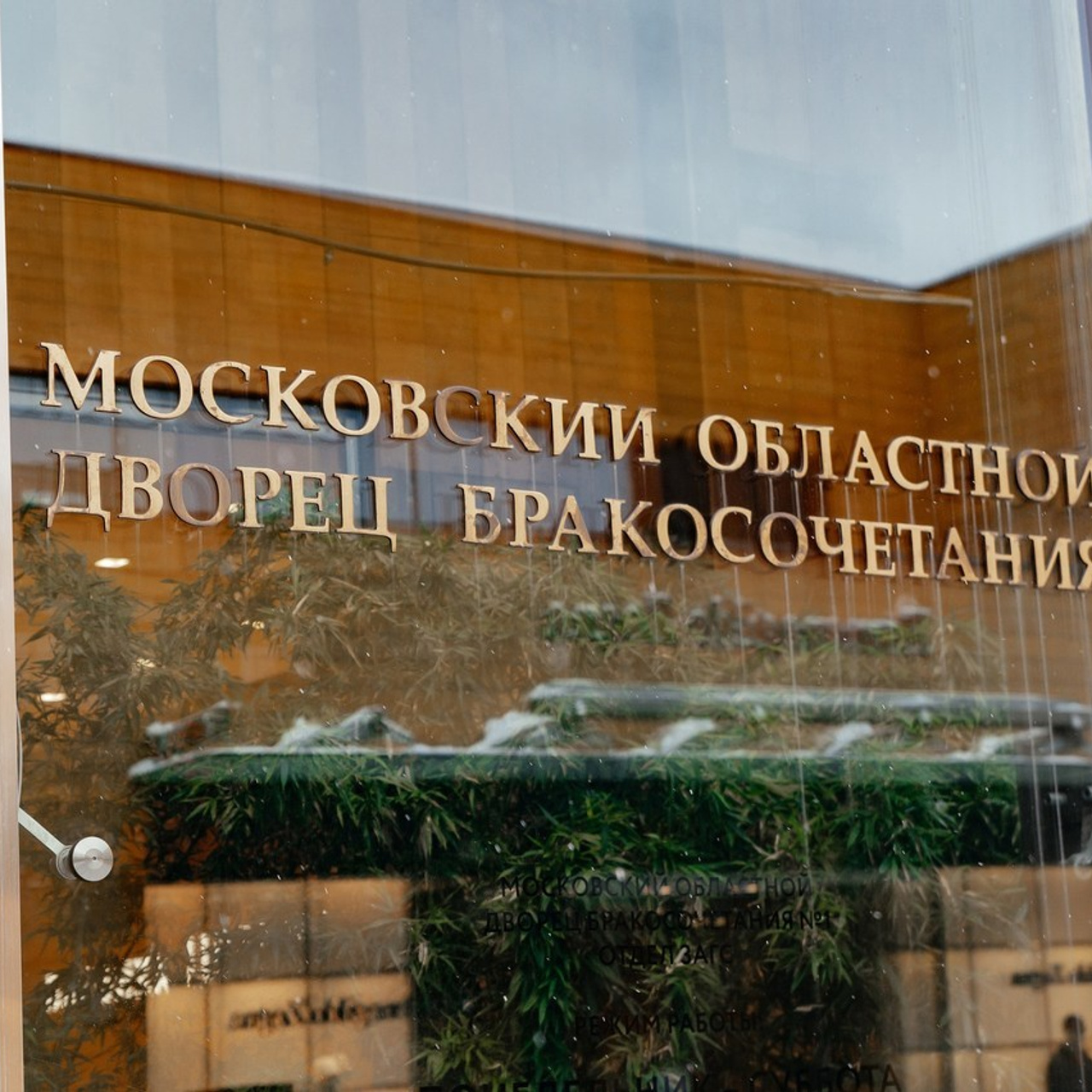 Comments. Свадебный и семейный фотограф в Москве Сергей Фролов