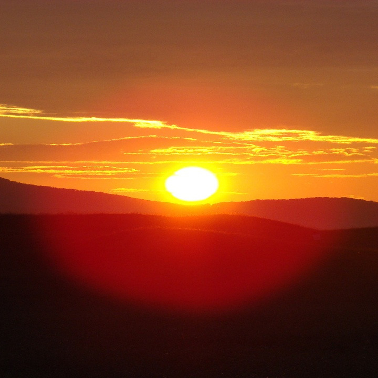 Свадебный фотограф. Свадебный фотограф Серпухов — Москва Ольга Васильева