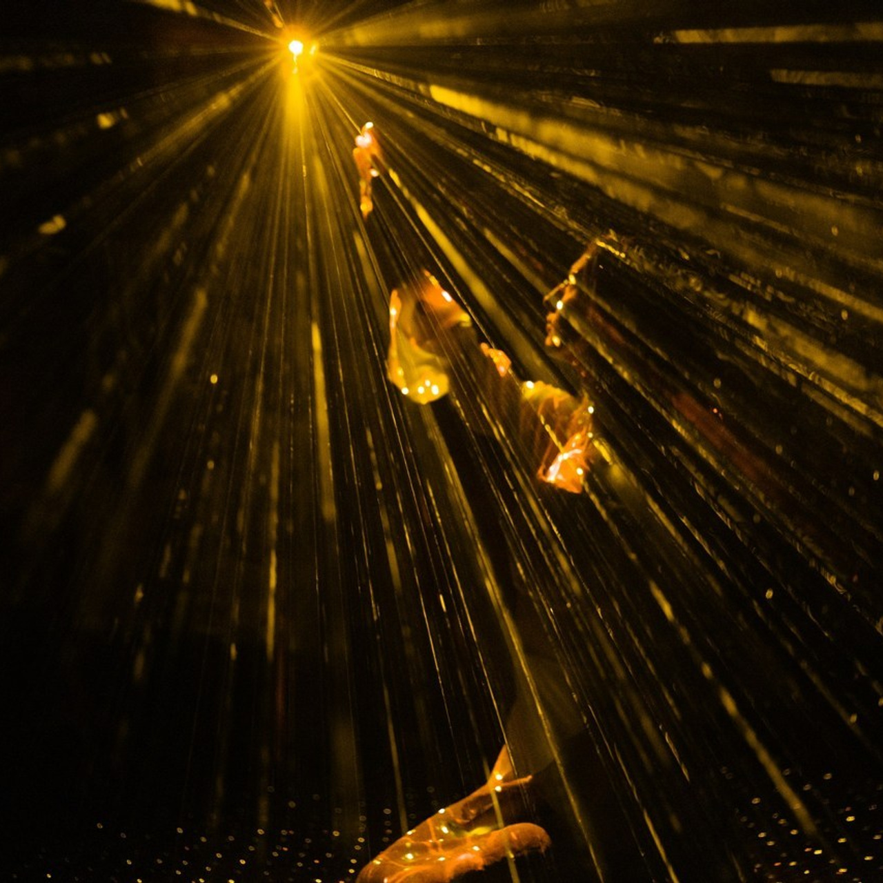 Отзывы. Портфолио