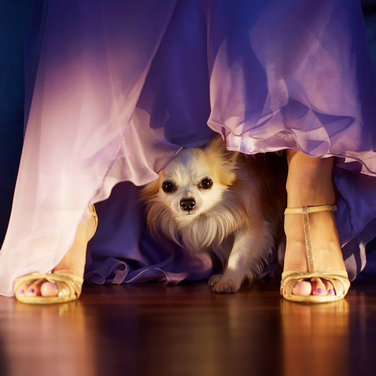 Свадебный и подводный фотограф в Москве Слава Гребенкин