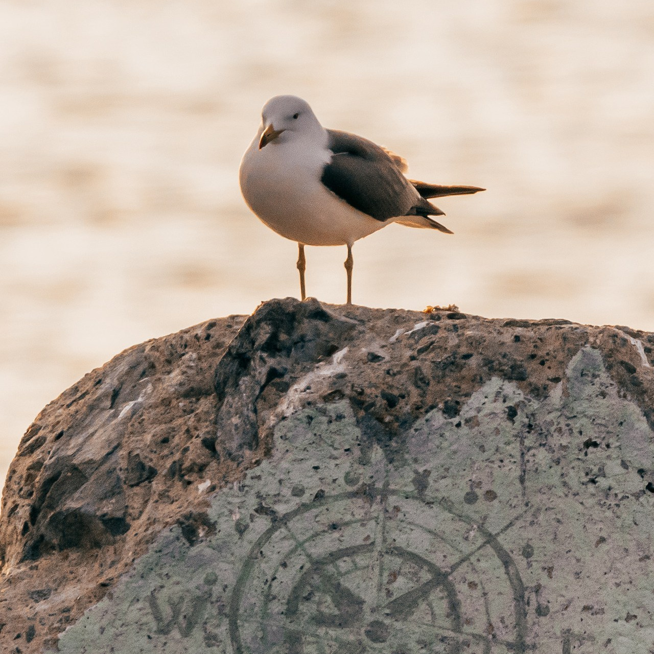 Отзывы. Марк Шишкин — репортажный фотограф в Воронеже и России
