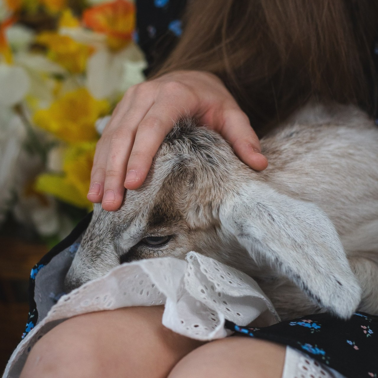 Отзывы. Свадебный, семейный, детский фотограф в Воронеже, Липецке Ваганова Дарья